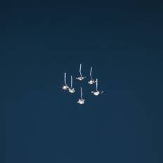 Catellani & Smith - Jackie O Chandelier, 12 LED - Lysekroner - Enzo Catellani - Sølv