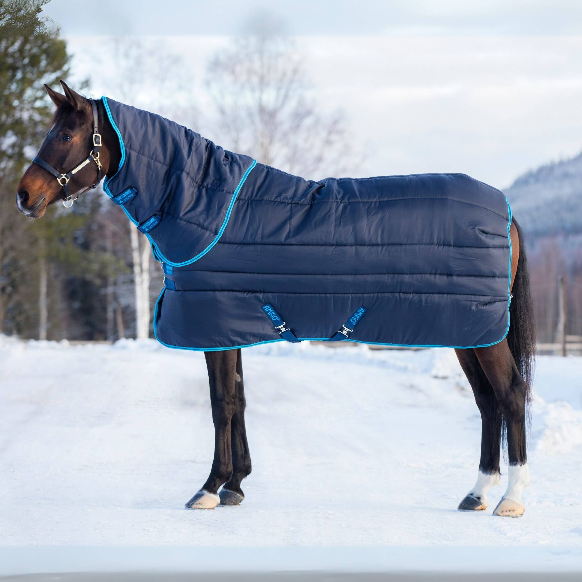 Amigo Insulator Plus - Marin - 550g, Horseware.