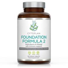 Foundation Formula 2