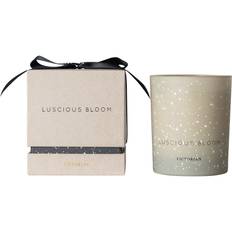 Doftljus Luscious bloom Victorian