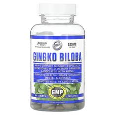 Hi Tech Pharmaceuticals, Ginkgo Biloba, 120 mg, 90 tablets