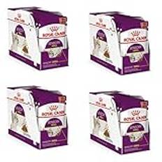 Royal Canin Sensory Smell våt mat i sås för kräsna katter – paket – 4 x 12 x 85 g