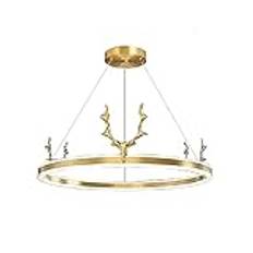 ksxnkhk Ljuskrona hängande lampa LED nordisk enkel ring ljuskrona postmodern personlighet ljuskrona för vardagsrum matsal modell rum sovrum – guld. 60 x 100 cm dekoration