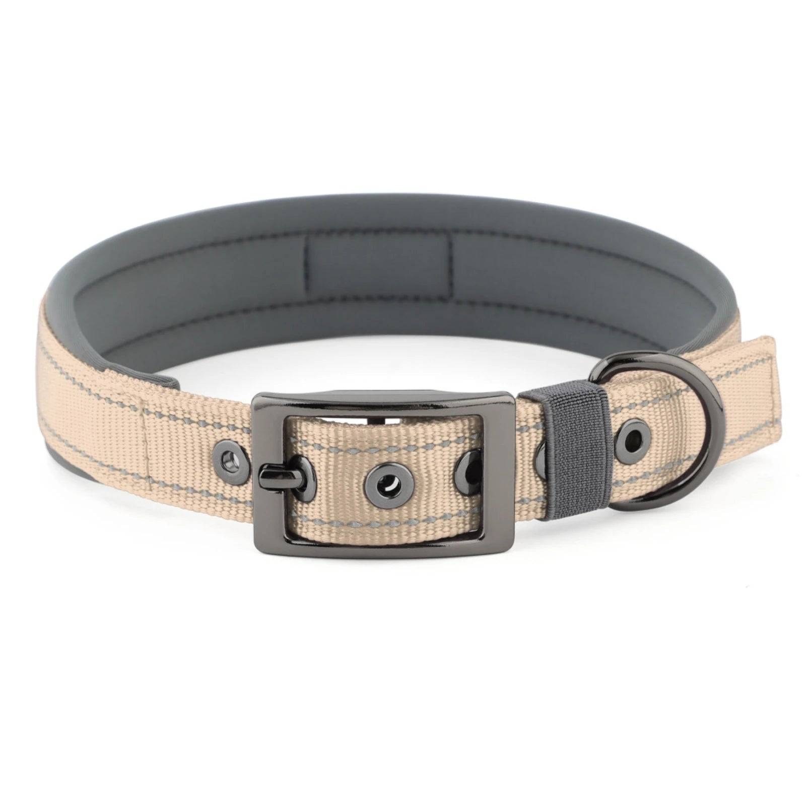 Neoprene Padded Reflective Dog Collar with Metal Buckle - Beige / S / SP