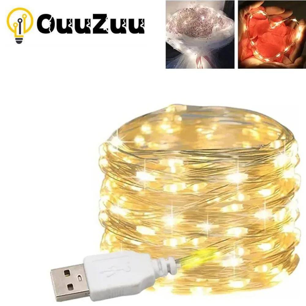 USB LED String Lights Koppar Silvertråd Garland Light Vattentät LED Fairy Lights För julbröllopsdekoration rosa
