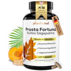 9-fach Komplex! Prosta Komplex Kapseln mit Kürbiskern-Extrakt Sägepalmen-Extrakt & Beta Sitosterol - Prosta Kapseln hochdosiert - Prosta Fortuna - 2 Monatsvorrat