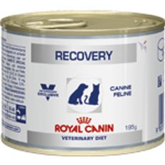 RC Recovery Dog/Cat 195g 24 stk