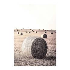 Hay Bale Poster
