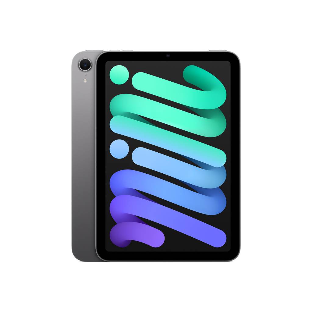 Apple iPad mini Wi‑Fi 256 GB – rymdgrå
