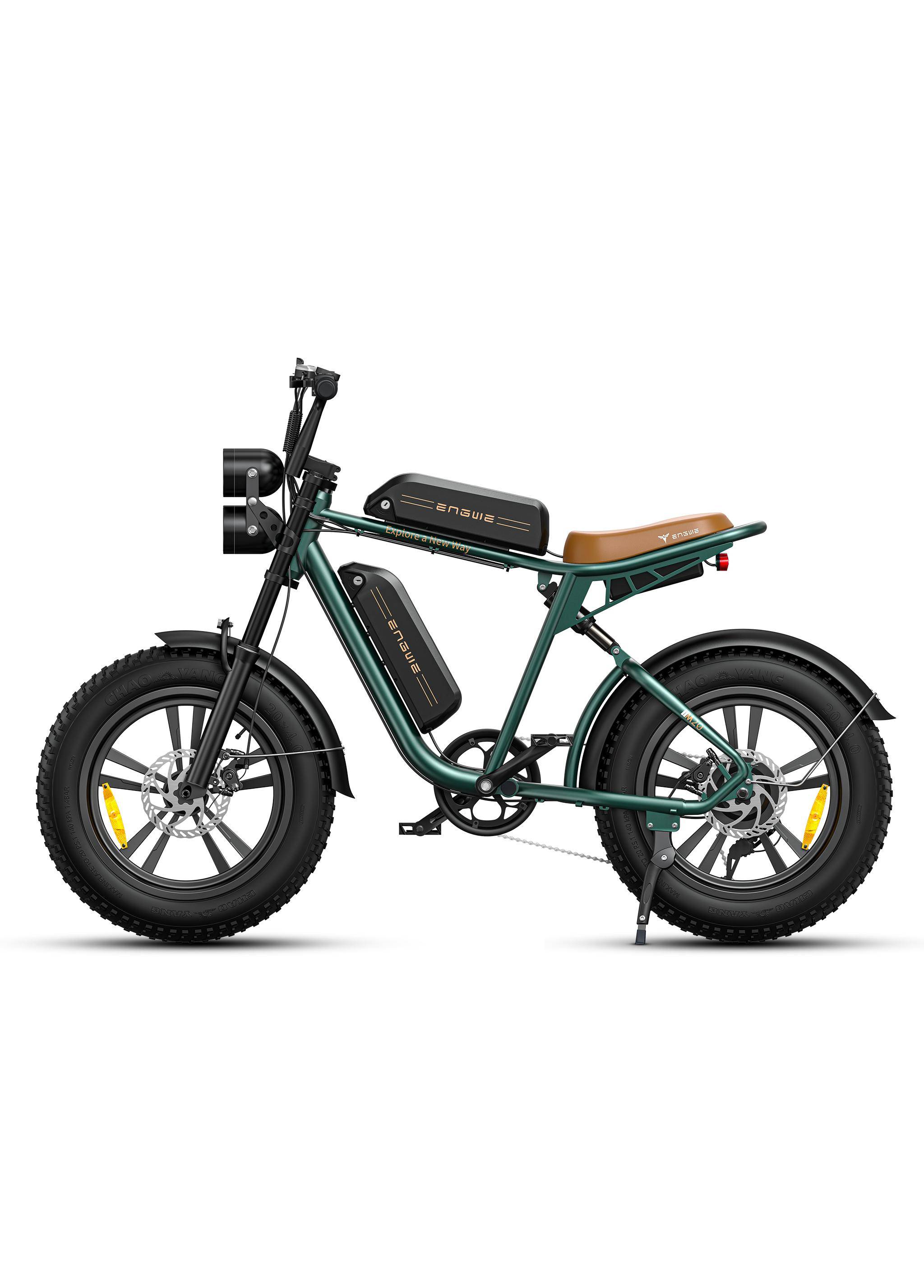 ENGWE M20 Electric Bicycle 750W Motor, 2*48V 13Ah Battery, Dual Suspensions, 20*4.0 Inch Tires, 75KM Range E-Bike 2*48V 13Ah
