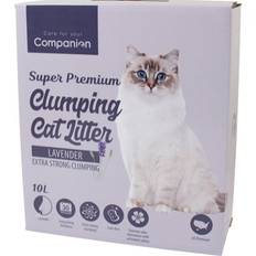 Kattsand Companion Lavendel