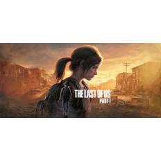 The Last of Us Part I Steam Altergift