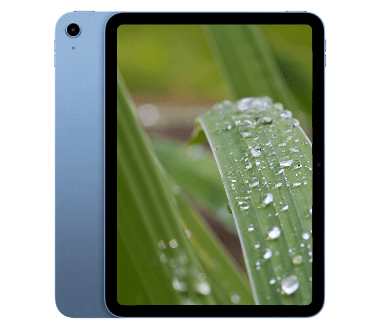 iPad A16 (2025) 11" WiFi