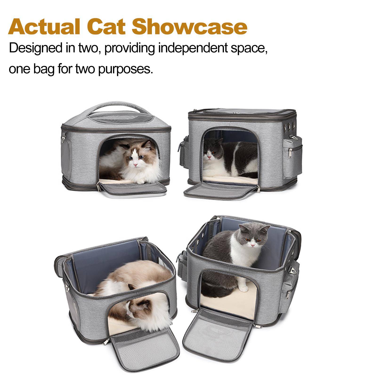 Cat Carrier Avtagbar ryggsäck Dubbel Cat Carrier Andas och bekväm för resor - hållbar svart