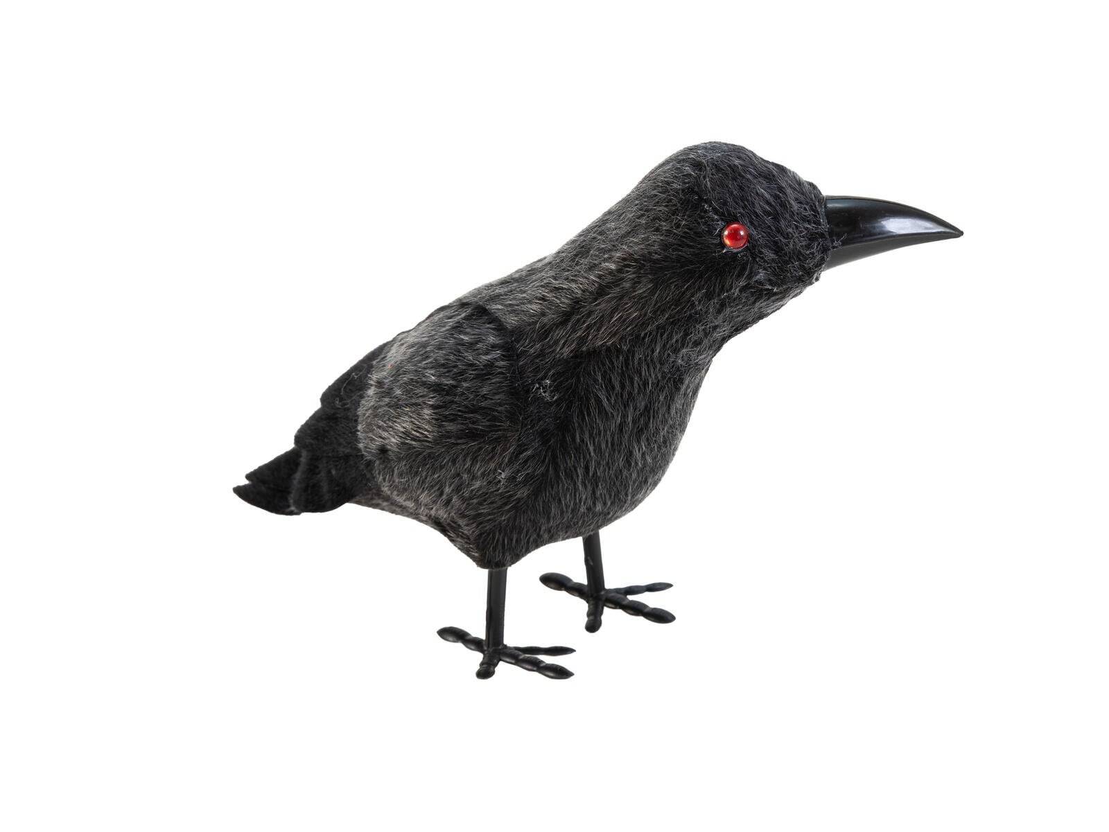 EUROPALMS Halloween Raven, 18cm