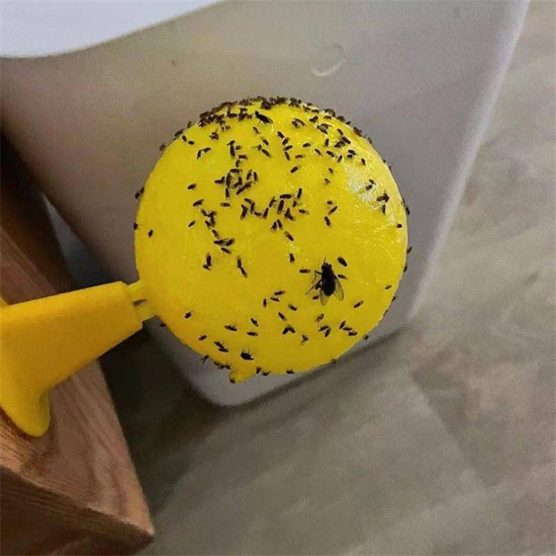 Klibbiga fällor Flygande insekter Fångar boll Effektiv flugfångare Dödare Frukt Flugdödare för växter Fångar fruktinsekter