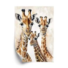 Plakat - Giraffe familie