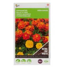 Tagetes, grøngødning, frø til 50 m²