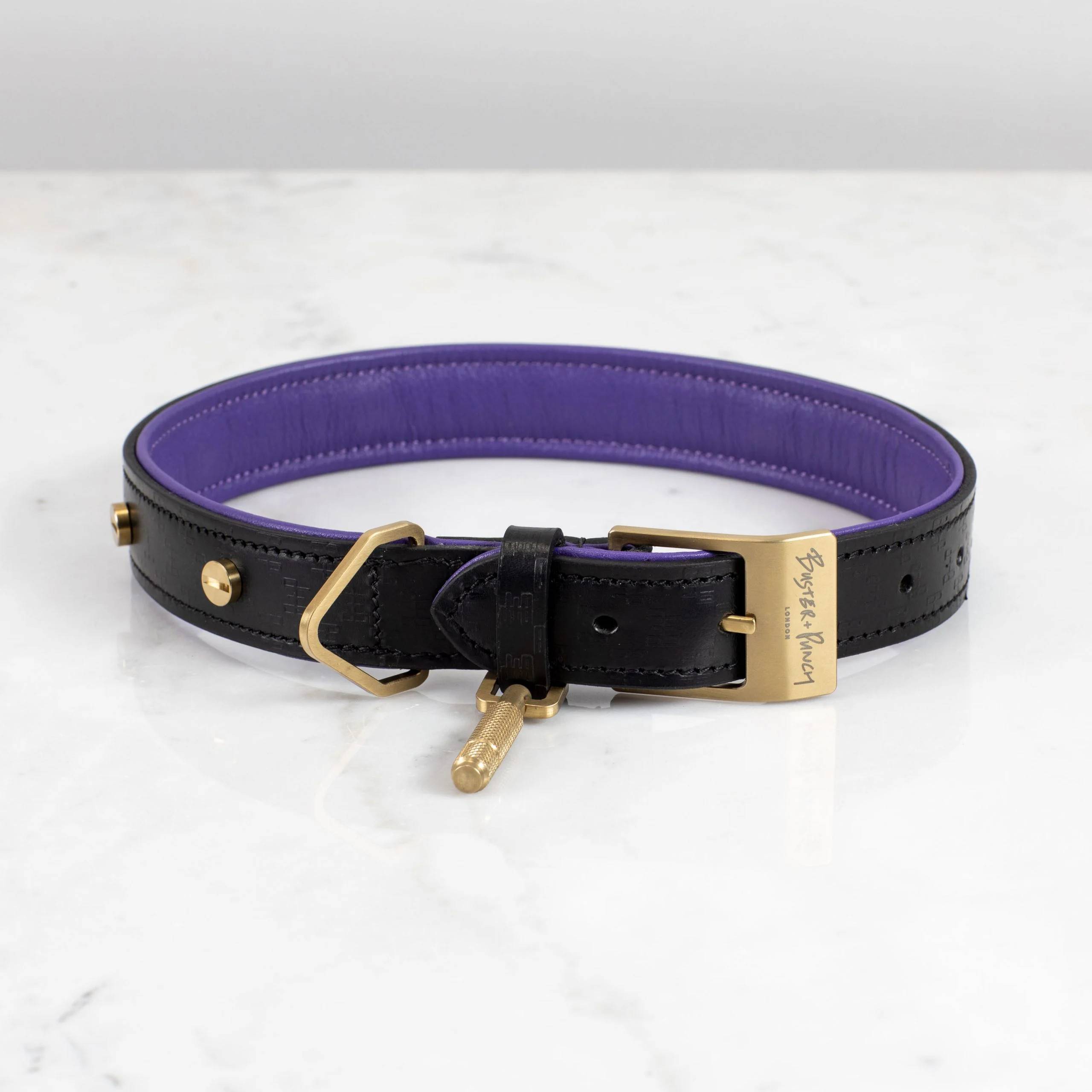 Hundhalsband XL Läder Guld