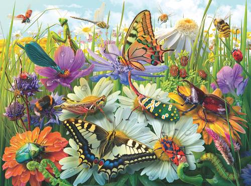 Ravensburger - Wonderful World Of Insects - 100p