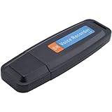 BäRbar Uppladdningsbar U-Disk USB Digital Audio RöStinspelare Mini Diktafon Aktiverad Inspelare -Svart