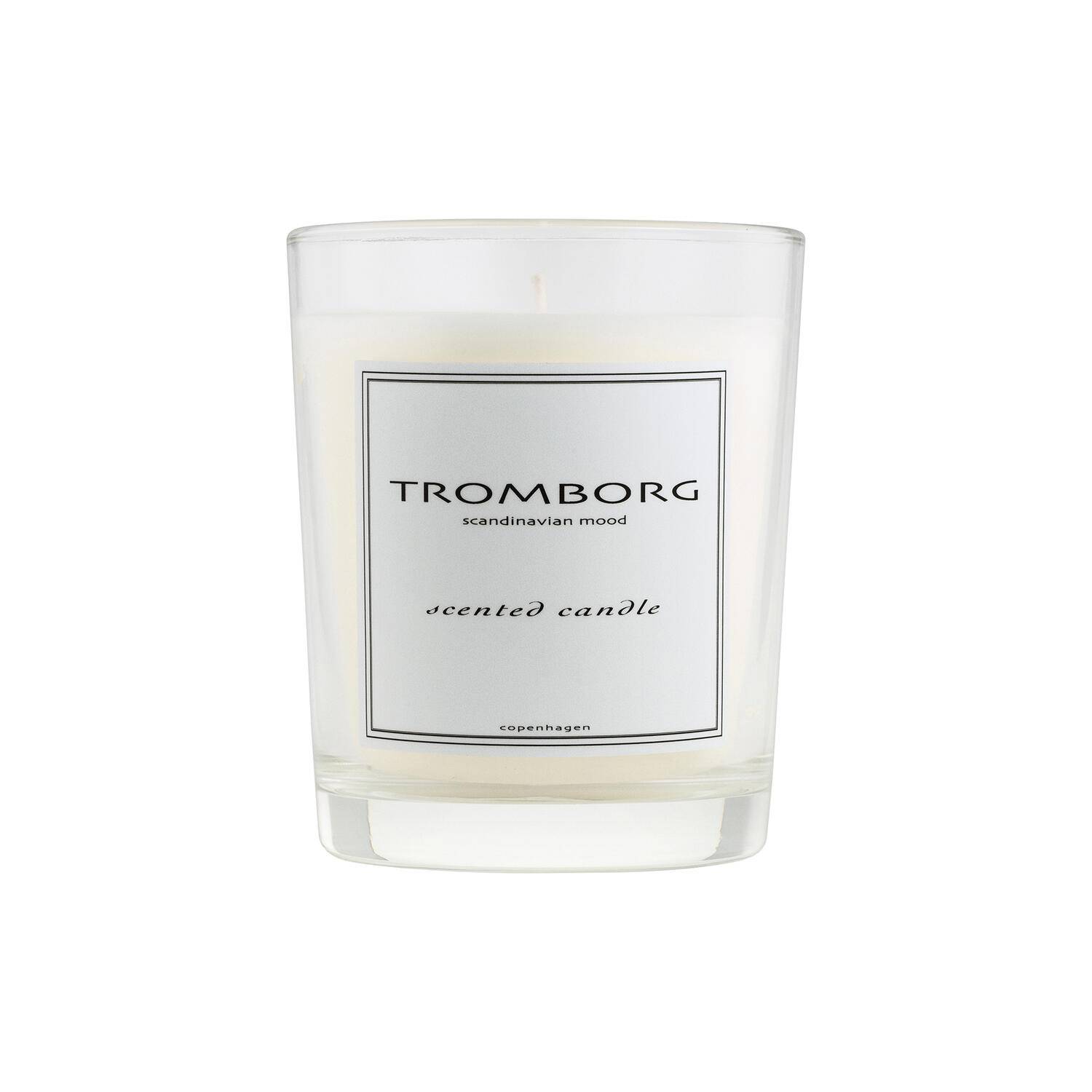 Scented Candle Figuier