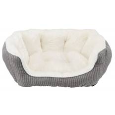 Hundeseng Darvin, Gr�/creme