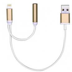 2 in 1 USB kabel til lightning og AUX 3.5 guld