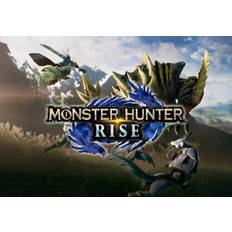 MONSTER HUNTER RISE US Nintendo Switch CD Key