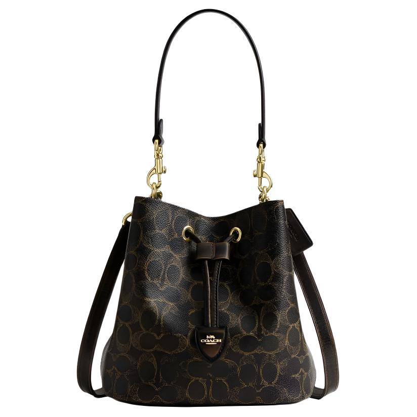 Coach Rowan 21 Classic Print Coated Canvas Tote Bag Small Women tote bags Brown CDY21-IMBRN Basic Set (Bag+Dust Bag)