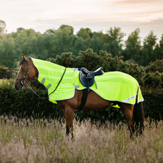Ridflugtäcke Amigo Fly Rider Horseware
