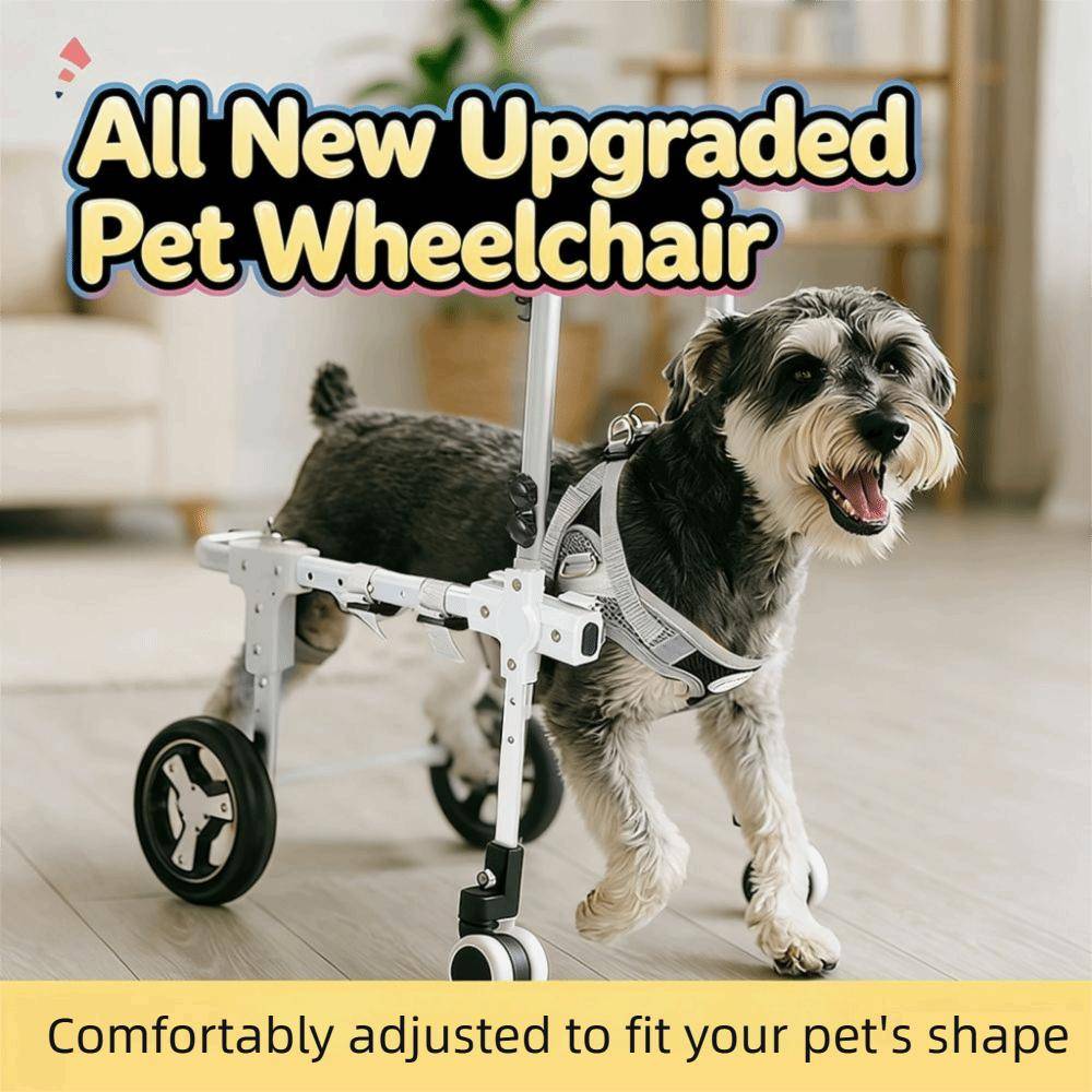 Lätt aluminium Pet Mobility Cart Justerbar Pet Rehabilitation Rullstol Pet Mobility