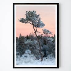 Nature Affiche: The pine tre on the bog par Niklas H Andersson