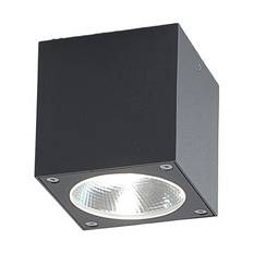 Lucande - Cordy LED Utomhus Takspot Graphite