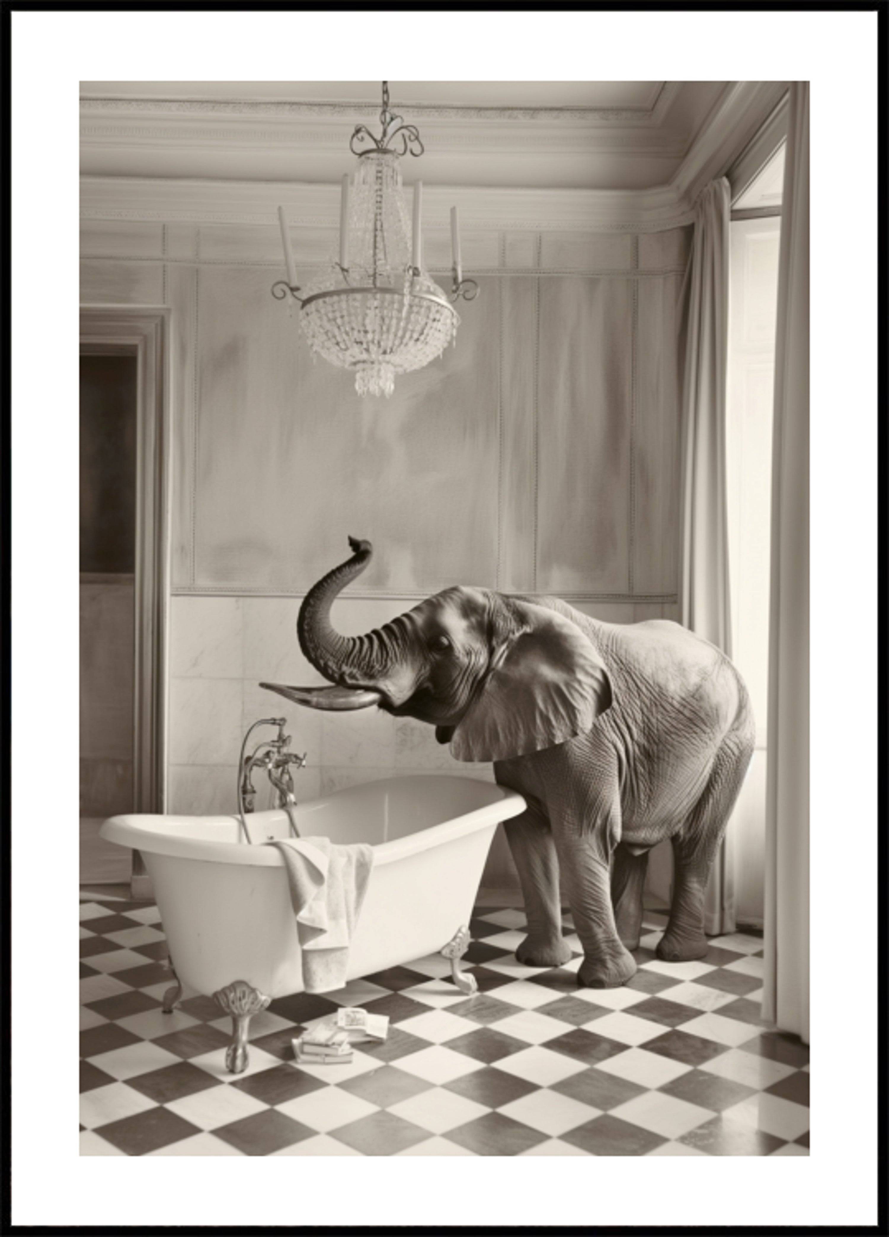 Elephant's Elegant Bathtub (40x50) - Plakater > Humoristiska Posters, BD