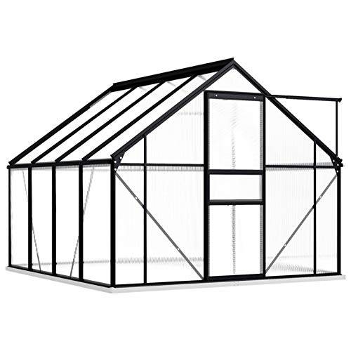 Tidyard Växthus med fundament, trädgårdshus med aluminiumkonstruktion, för odling, tomatväxthus, antracitgrå, 4,75 m³