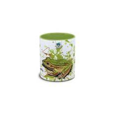 Kaffekop Padde / Ranoidea aurea
