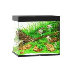 JUWEL AKVARIUM LED LIDO 200 L - Vit