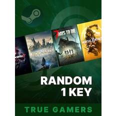 True Gamers Random 1 Key (PC) - Steam Key - GLOBAL