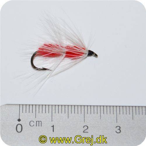 Streamer - Str. 8 - The Big Red One Worm Fly