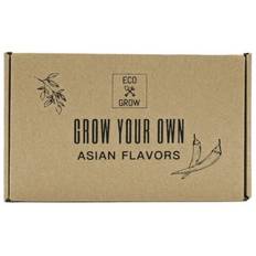 Odlingskit, Asiatiska smaker (4 st) - Eco Grow