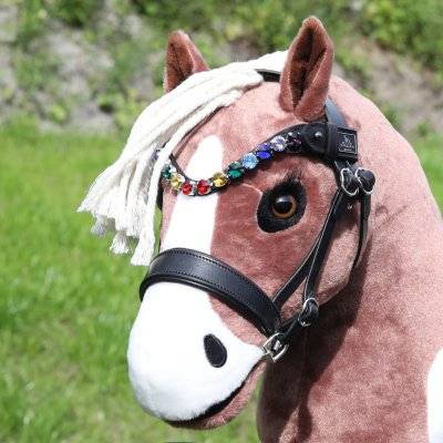 SD® Bespoke Hobby Horse Rainbow Browband.