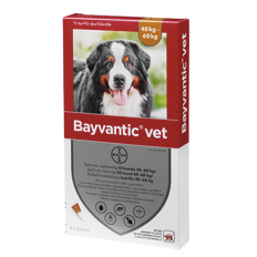 Bayvantic Vet. Hund 40-60kg