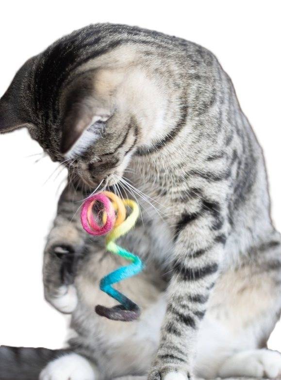 Kattleksak Vår Eco Toy spiral Regnbåge