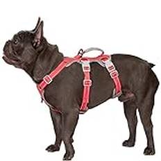 Huntboo Hundsele,Hundsele för bil,Hundselen helt reflekterande sele med vadderat handtag,andningsbar, hållbar,justerbar väst för medelstora hundar som går,tränar och kör utrustning