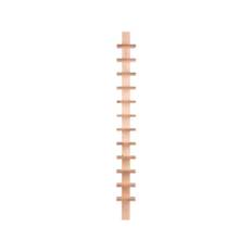 Källemo Pilaster vägghylla Naturlackad björk - Beige