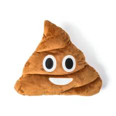 Gadget Master Emoji Pude - Pile of Poop