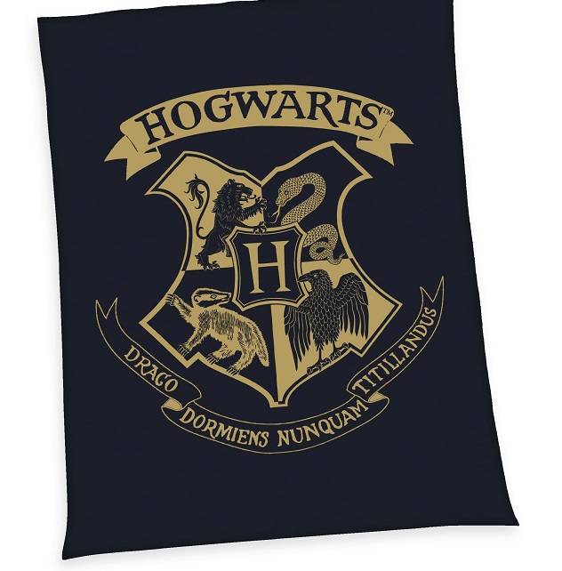 Harry Potter Fleece Blanket Hogwarts 150 x 200 cm