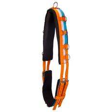 Longeringsgjord i nylon IRHDeluxe Neon Orange (Cob)