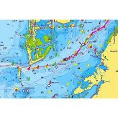 GARMIN NAVIONICS+ NSEU081R Baltic Sea, East Coast